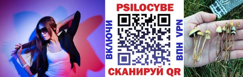 Псилоцибиновые грибы ЛСД  hydra ССЫЛКА  Покровск 
